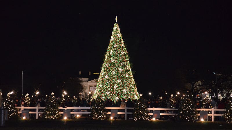 You are currently viewing Get Lit in D.C. this Holiday Season – Best Lights and Events